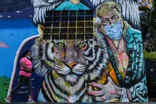 CHANDAN KHANNA/AFP via Getty Images