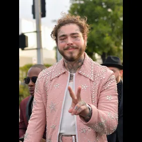 61st Annual GRAMMY Awards - Red Carpet