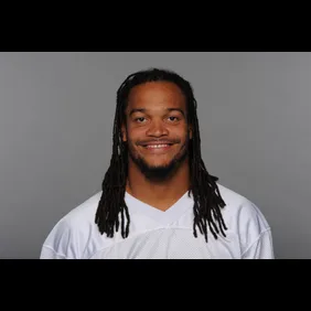 Miami Dolphins 2010 Headshots