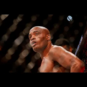 UFC 237: Cannonier v Silva