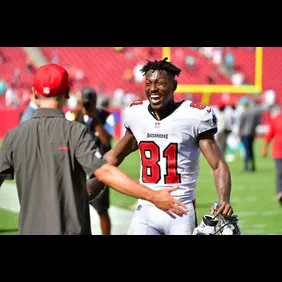 Miami Dolphins v Tampa Bay Buccaneers