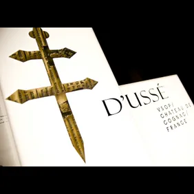 JAY Z and D'USSE Cognac Host The Official Legends of the Summer After Party - Chicago