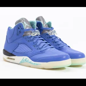 we-the-best-air-jordan-5-collab