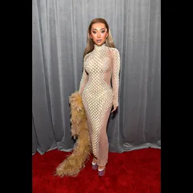 62nd Annual GRAMMY Awards – Red Carpet