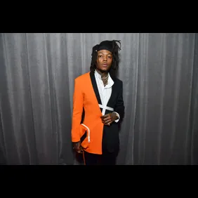 62nd Annual GRAMMY Awards – Red Carpet