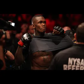 UFC 281: Adesanya v Pereira