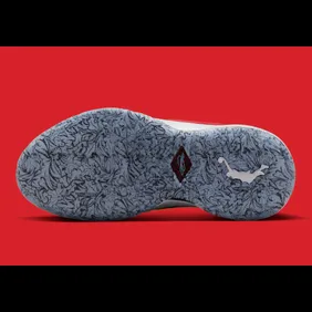 Nike-LeBron-20-GS-Christmas-DQ8646-300-2