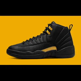 air-jordan-12-retro-black-taxi-ct8013-071-lateral