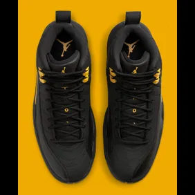 air-jordan-12-retro-black-taxi-ct8013-071-top