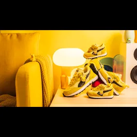 pokemon-puma-rider-rv-pikachu