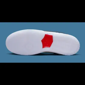 why-so-sad-nike-sb-dunk-low-dx5549-400-outsole