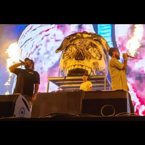 US-ENTERTAINMENT-MUSIC-FESTIVAL-BONNAROO