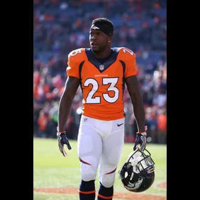 Pittsburgh Steelers v Denver Broncos