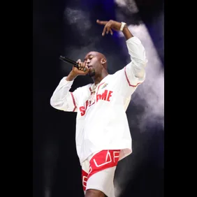 Roots Picnic 2022 - Day 2