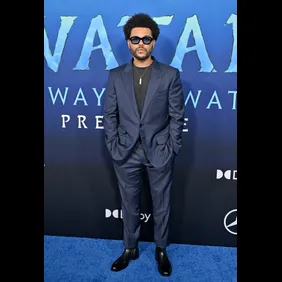 20th Century Studio's "Avatar 2: The Way Of Water" U.S. Premiere - Arrivals