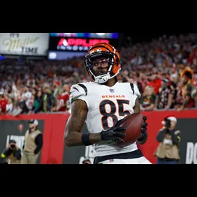 Cincinnati Bengals v Tampa Bay Buccaneers