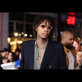 Premiere Of Paramount Pictures' "xXx: Return Of Xander Cage" - Arrivals