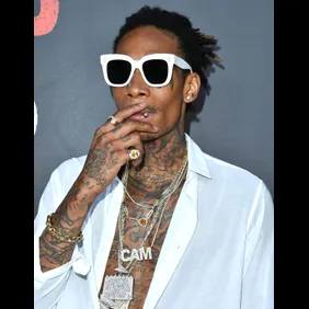 Los Angeles Premiere Of "Can't Stop Won't Stop" - Arrivals