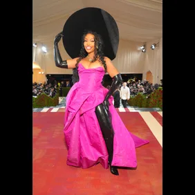 The 2022 Met Gala Celebrating "In America: An Anthology of Fashion" - Red Carpet