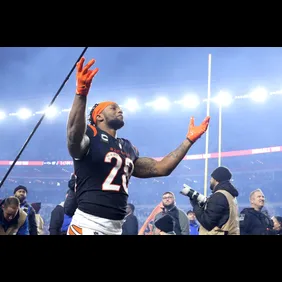 AFC Wild Card Playoffs - Baltimore Ravens v Cincinnati Bengals