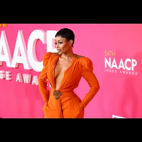 54th NAACP Image Awards - Red Carpet