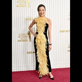 29th Annual Screen Actors Guild Awards - Arrivals