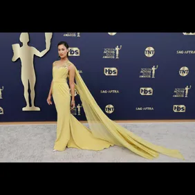 28th Annual Screen Actors Guild Awards - Arrivals