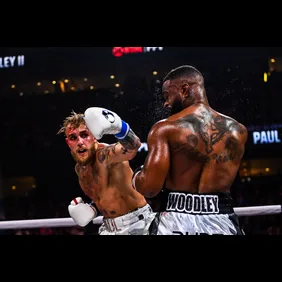 BOX-USA-WOODLEY-PAUL