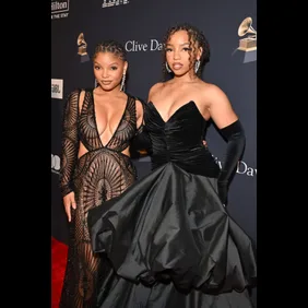 Pre-GRAMMY Gala &amp; GRAMMY Salute to Industry Icons Honoring Julie Greenwald And Craig Kallman - Red Carpet