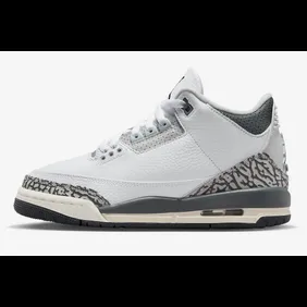 Air-Jordan-3-Hide-and-Sneak-DX6665-100