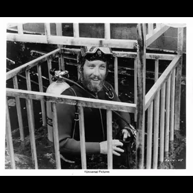 Richard Dreyfuss In 'Jaws'