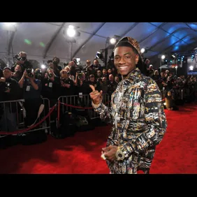 2011 American Music Awards - Red Carpet