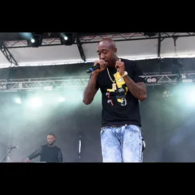 Pitchfork Music Festival 2015 - Day 3