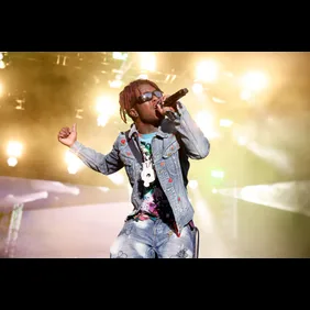 2023 The Roots Picnic