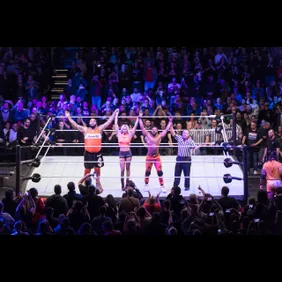 WWE Live Show In Dortmund