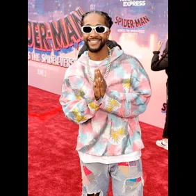 World Premiere Of Sony Pictures Animation's "Spider-Man: Across The Spider-Verse" - Red Carpet