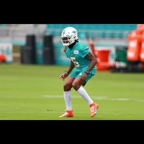 Miami Dolphins Training Camp