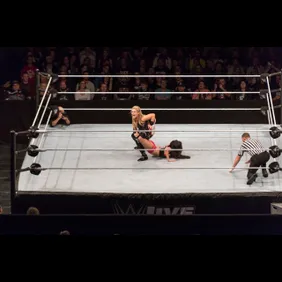 WWE Live - Live Show