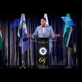 The Africa America Institute 65th Anniversary Gala