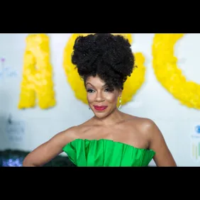 Wendy Raquel Robinson And Amazing Grace Conservatory's "There's No Place Like Home" 20th AnniverSoiree - Arrivals