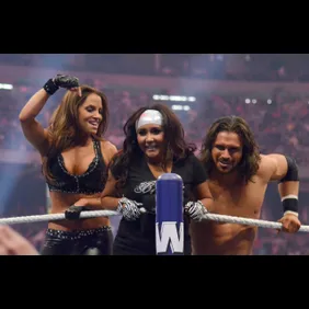 WWE Presents WrestleMania XXVII