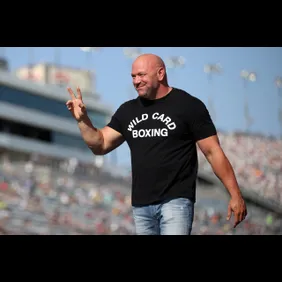 NASCAR Cup Series South Point 400