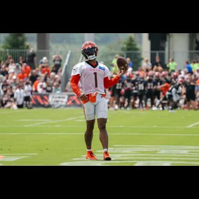 Cincinnati Bengals Training Camp