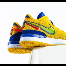 Titan-Nike-Zoom-LeBron-NXXT-Gen-Titan-Hoops-Fair-4