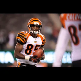 Cincinnati Bengals v New York Jets