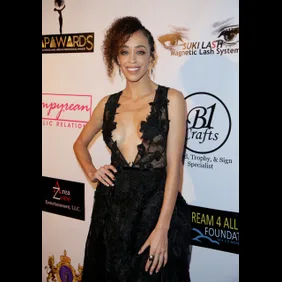 Hollywood And African Prestigious Awards