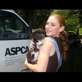 ASPCA Announces $5 Million Commitment to Mayor's Alliance for NYC's Animals INC.