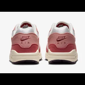 Nike-Air-Max-1-Red-Stardust-Cedar-DZ2628-103-5