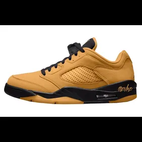 ipad_air-jordan-5-low-wmns-chutney