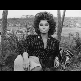 Sophia Loren Portrait